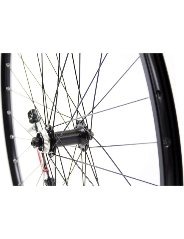 2026_05_25_1080915