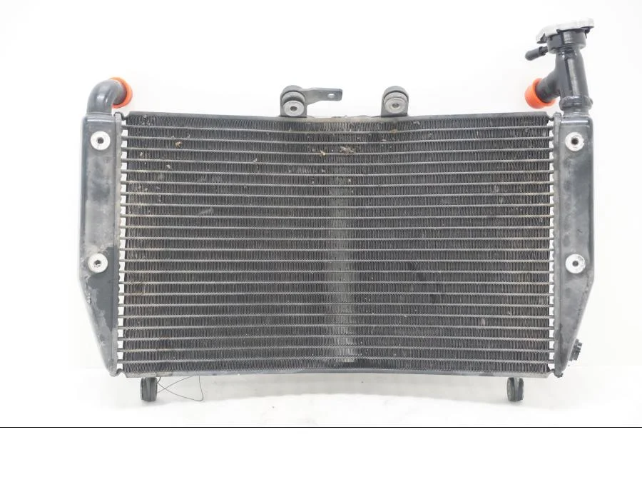 2026_05_26_1264437
